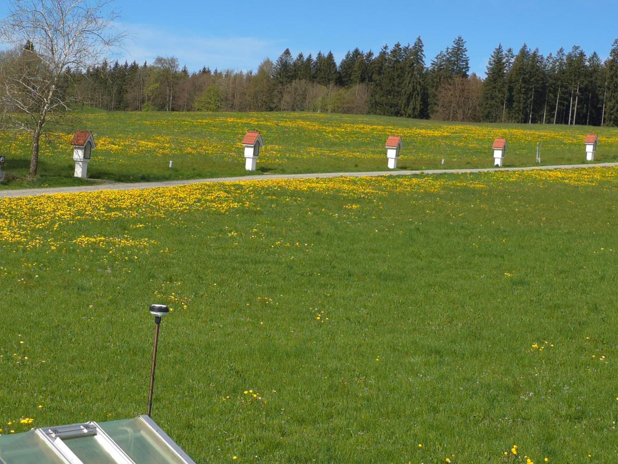 Apartamento Alpenblick Leutkirch im Allgäu Habitación foto